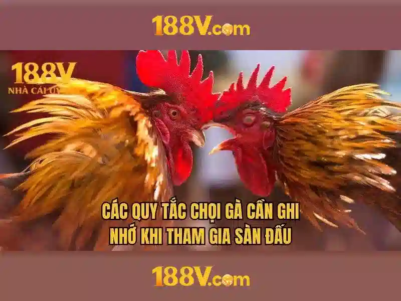 Tại Sao Chọn 188V