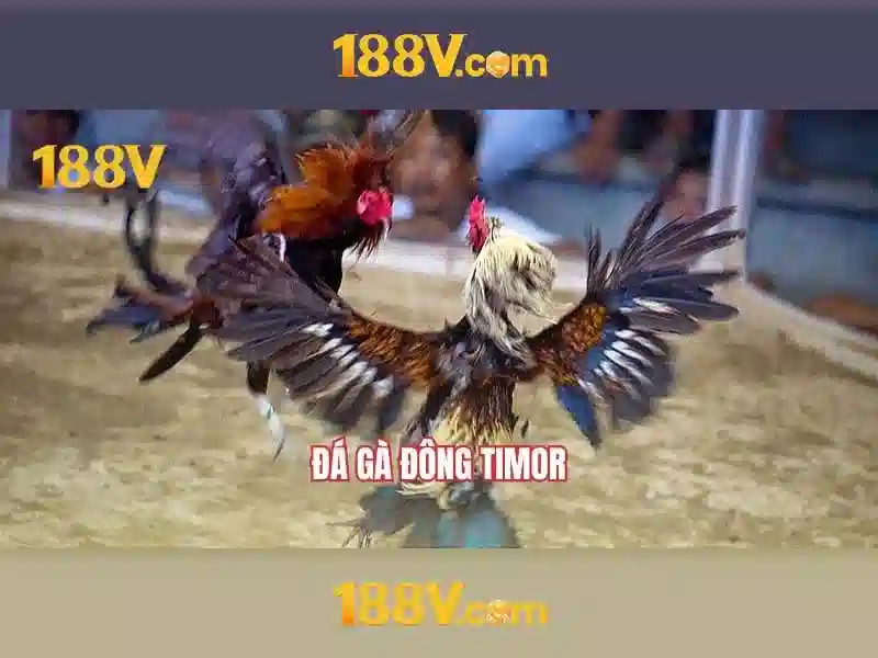 Tính năng Slot 188v