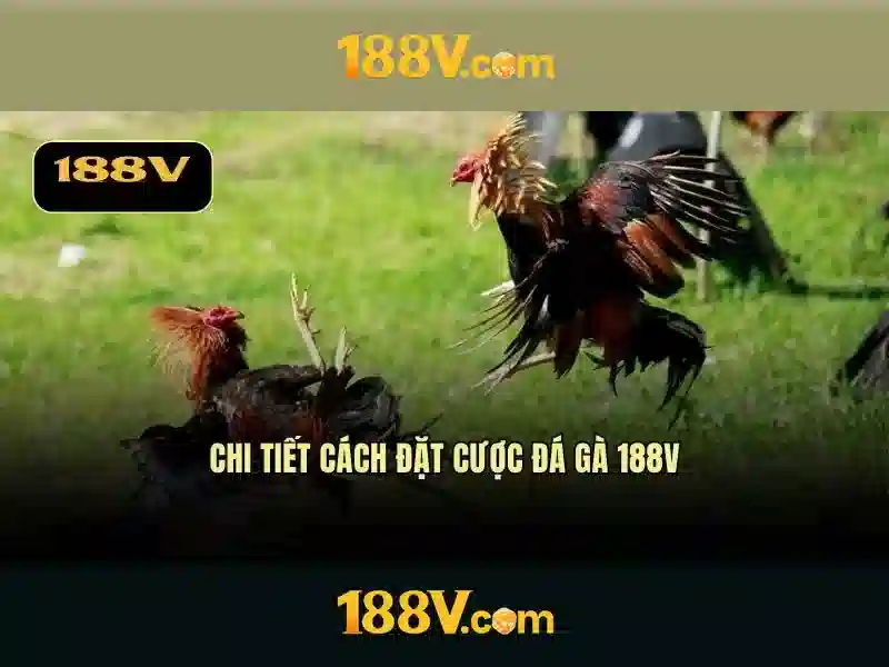 Đánh Giá 188V