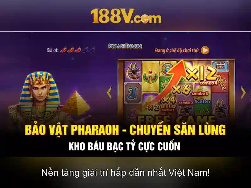 quản lý tài khoản