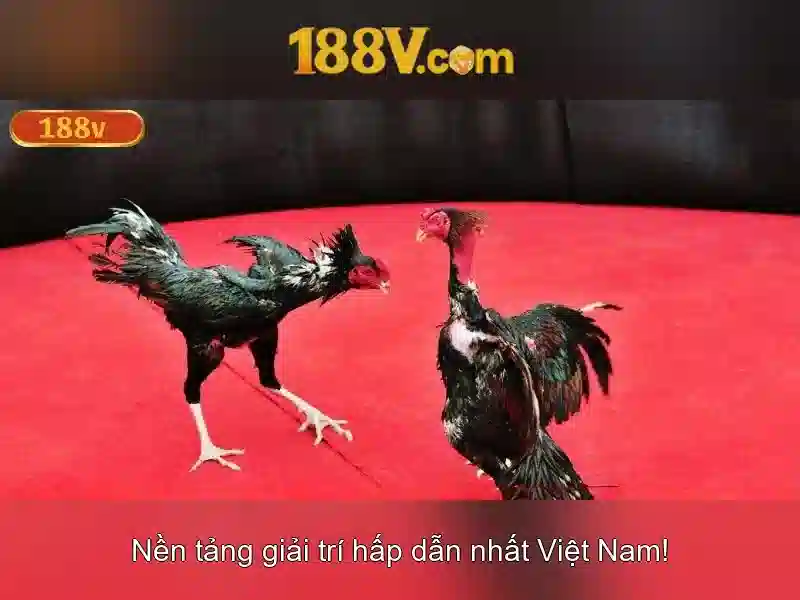Khuyến Mãi 188V